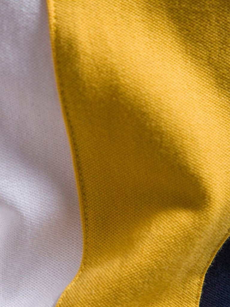 Royal Crest Polo – Exklusive Polo-Shirts für Stilbewusste